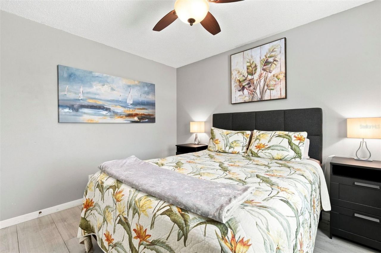 2234 Springflower Dr., Clearwater, FL 33763 Photo