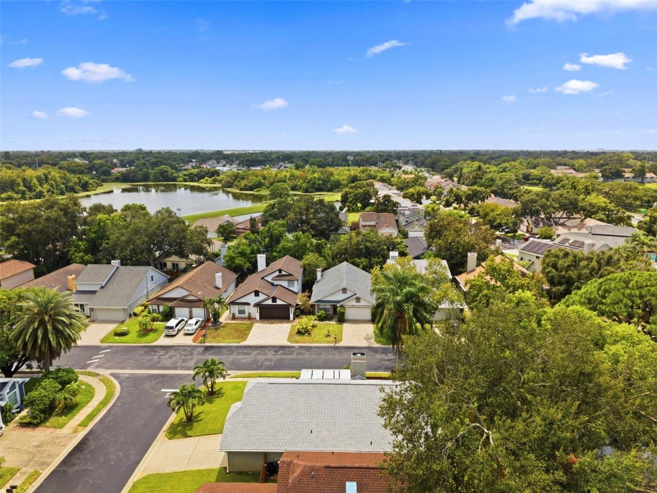 2234 Springflower Dr., Clearwater, FL 33763 Photo