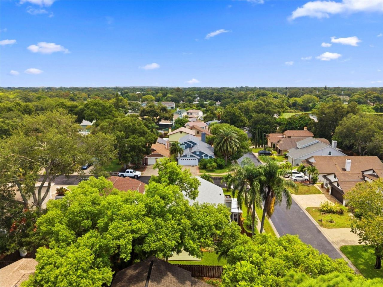2234 Springflower Dr., Clearwater, FL 33763 Photo