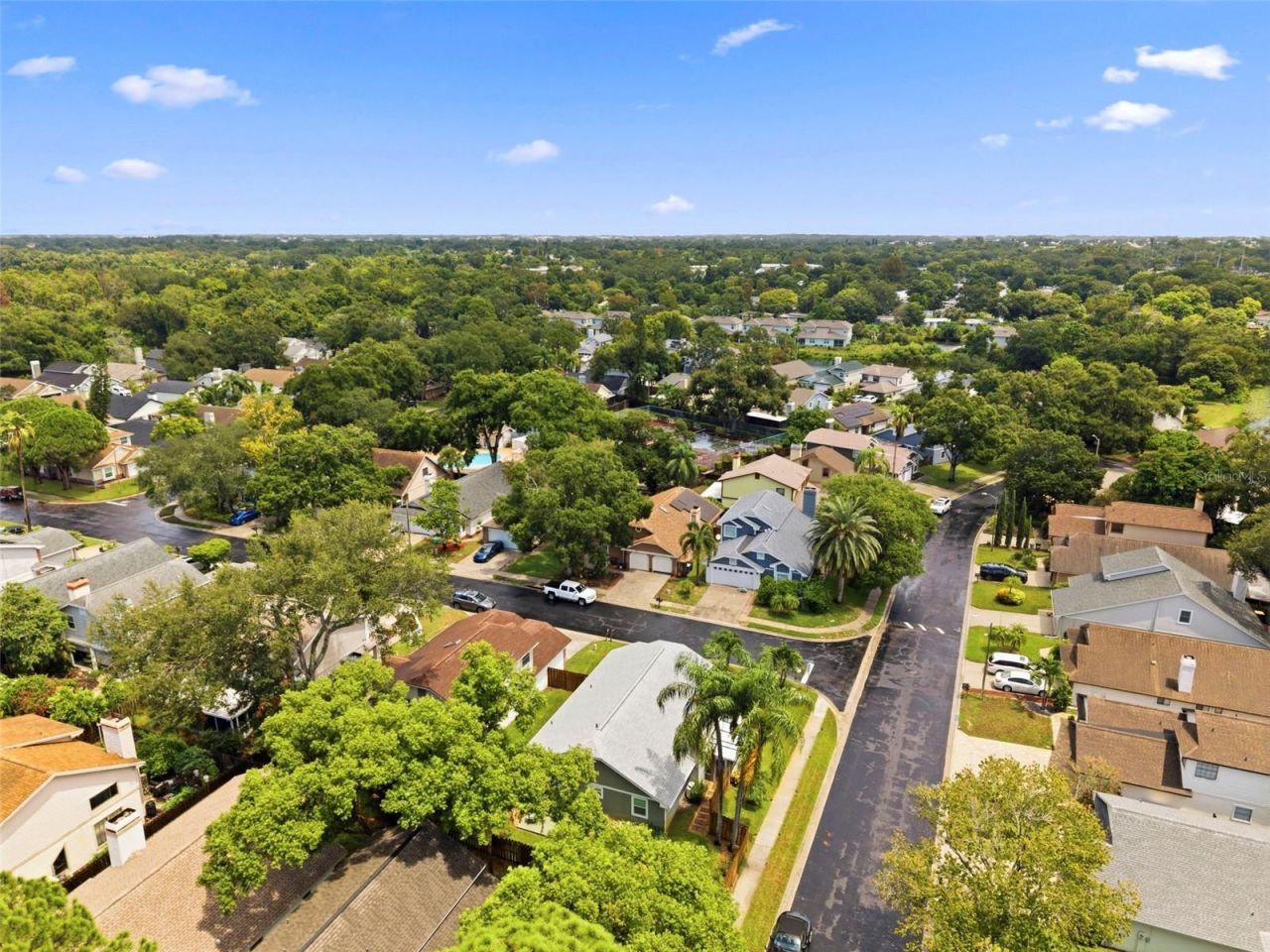 2234 Springflower Dr., Clearwater, FL 33763 Photo