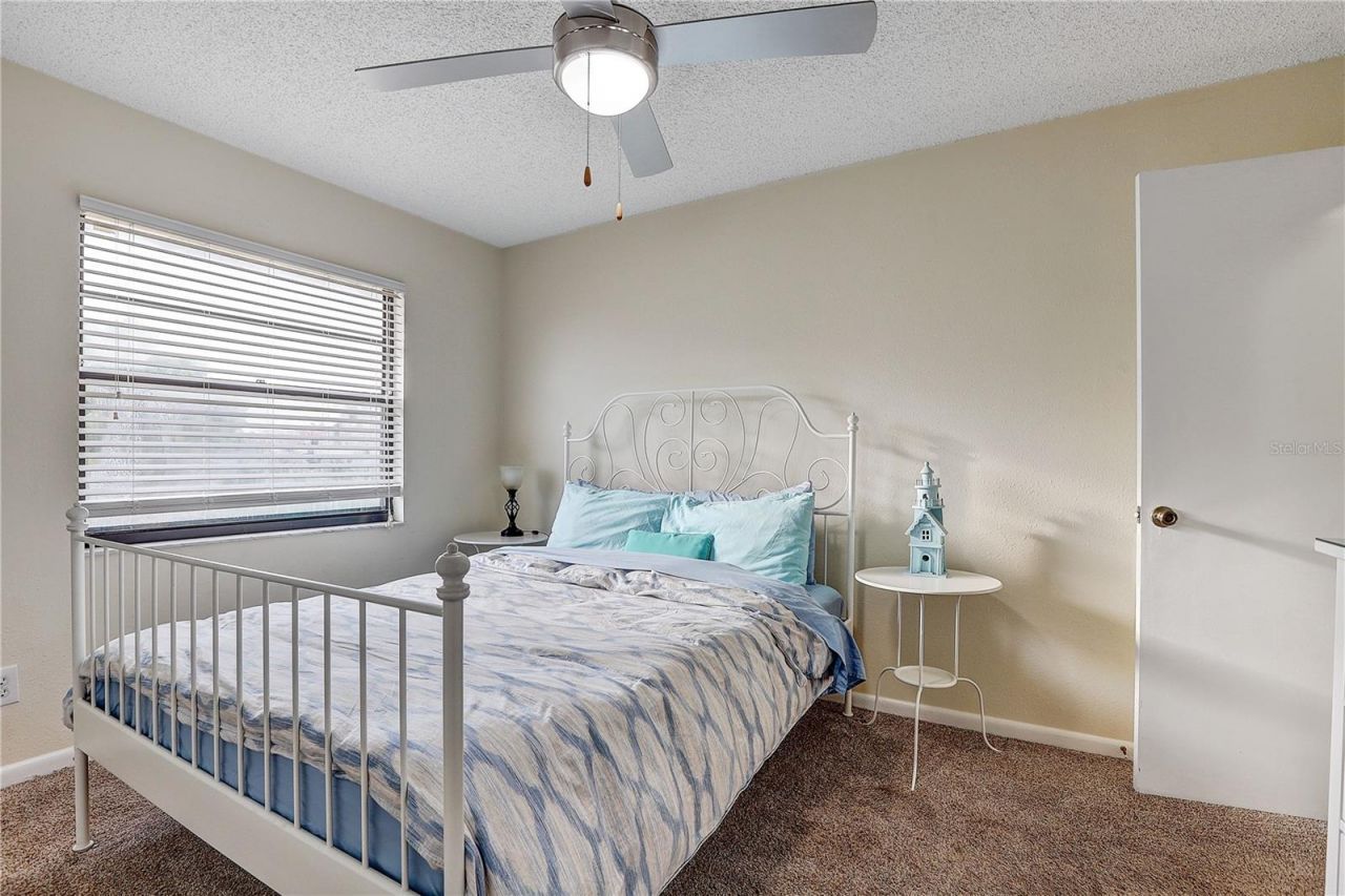756 Flamingo Drive, Apollo Beach, FL 33572 Photo