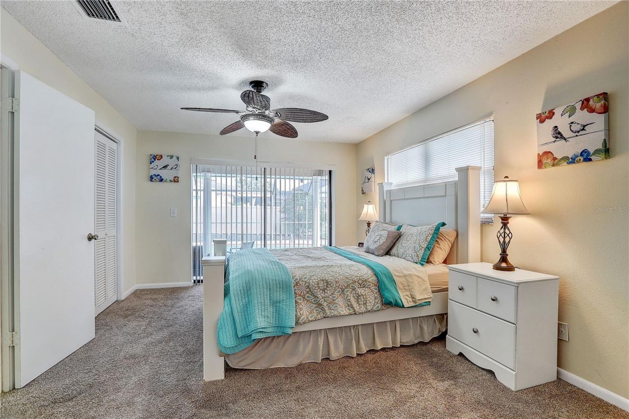 756 Flamingo Drive, Apollo Beach, FL 33572 Photo