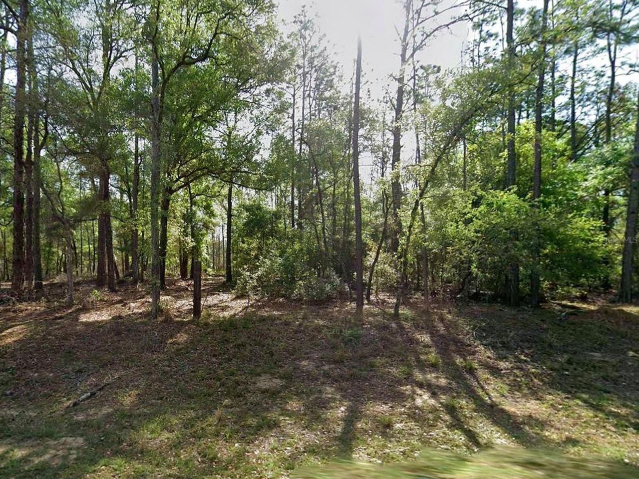 8297 N Yellowbird Avenue, Citrus Springs, FL 34434 Main Photo