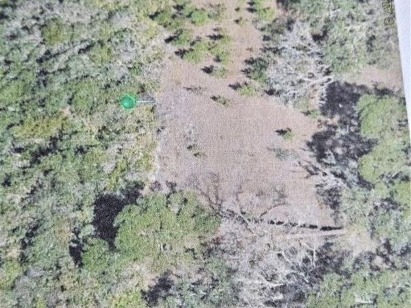 SPRING GARDEN RANCH ROAD , DE LEON SPRINGS, FL 32130