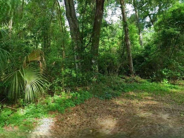 4226 N FOREST LAKE DRIVE , HERNANDO, FL 34442