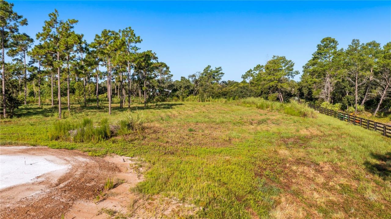 2521 Mills Creek Road, Chuluota, FL 32766 Photo