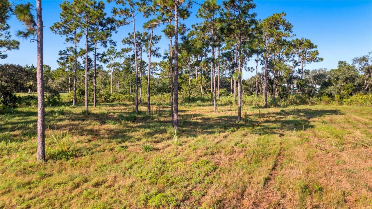 2521 Mills Creek Road, Chuluota, FL 32766 Photo