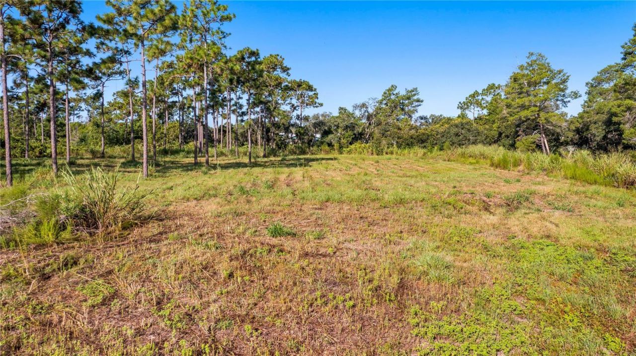 2521 Mills Creek Road, Chuluota, FL 32766 Photo