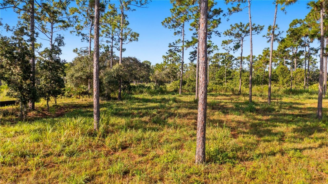 2521 Mills Creek Road, Chuluota, FL 32766 Photo