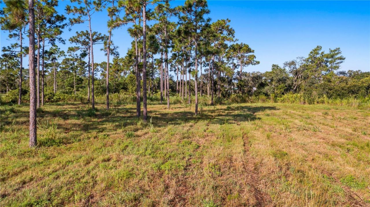 2521 Mills Creek Road, Chuluota, FL 32766 Photo