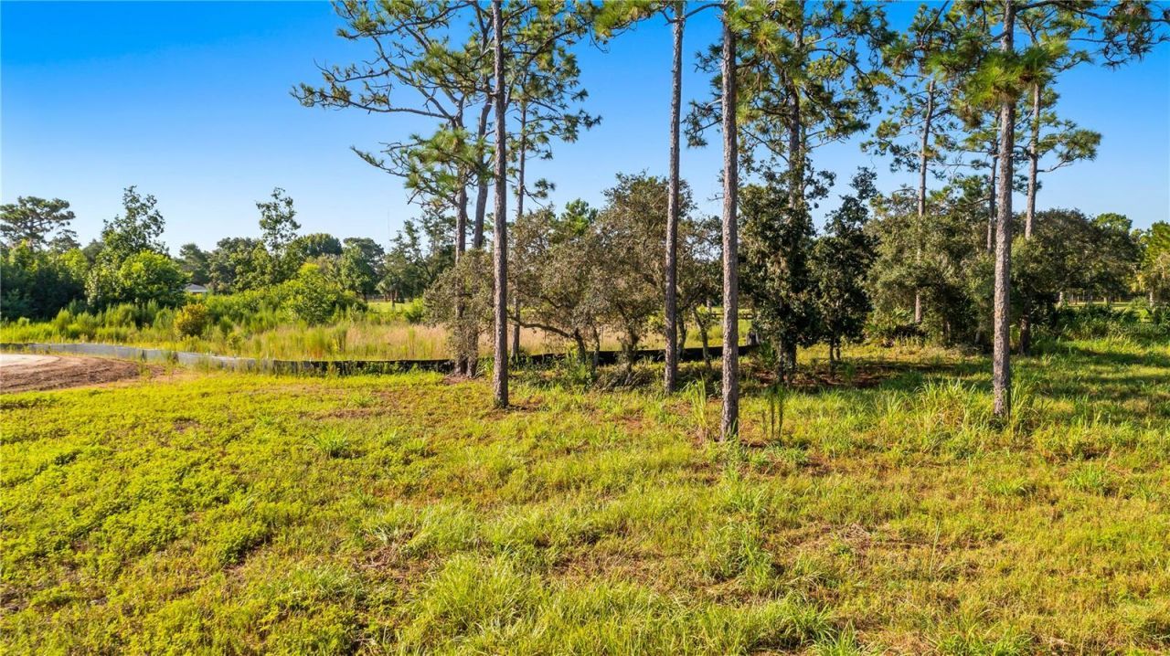 2521 Mills Creek Road, Chuluota, FL 32766 Photo