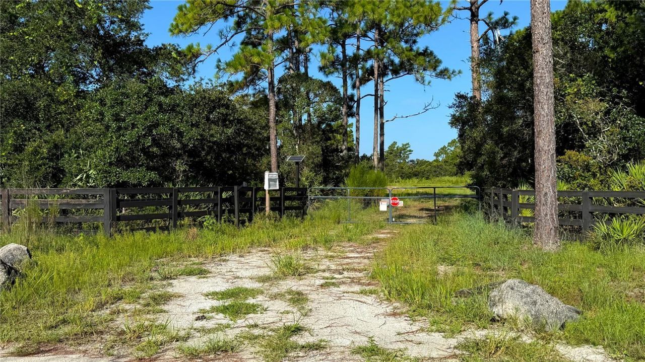 2521 Mills Creek Road, Chuluota, FL 32766 Photo