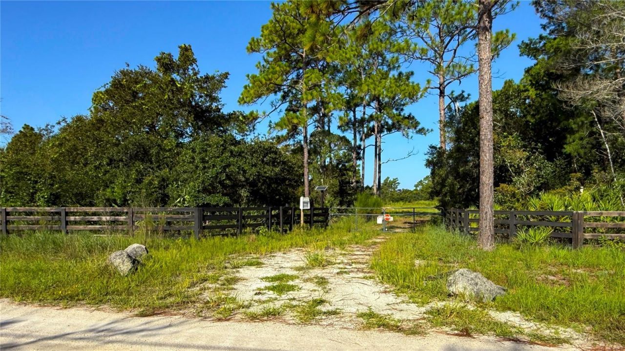 2521 Mills Creek Road, Chuluota, FL 32766 Photo