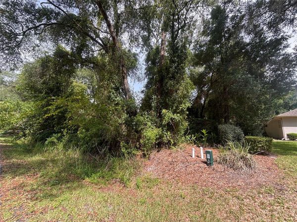 SW 98TH LOOP , DUNNELLON, FL 34432