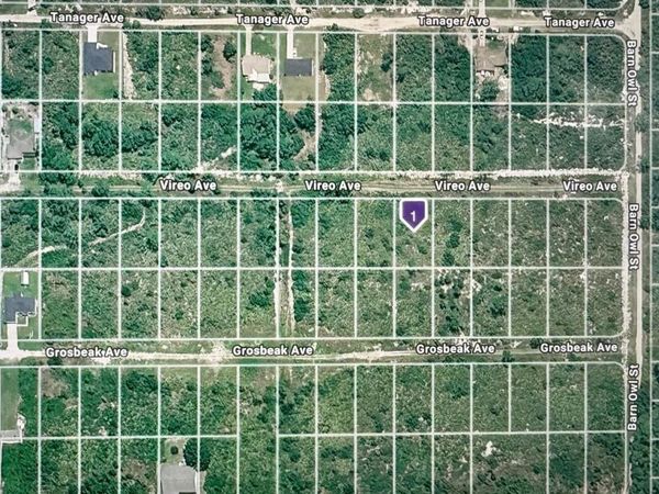 222 VIREO AVENUE , SEBRING, FL 33870
