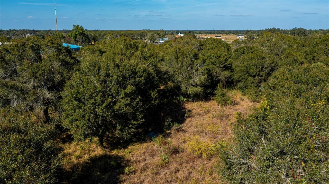 Sw Co Rd 760a , Arcadia, FL 34266 Photo
