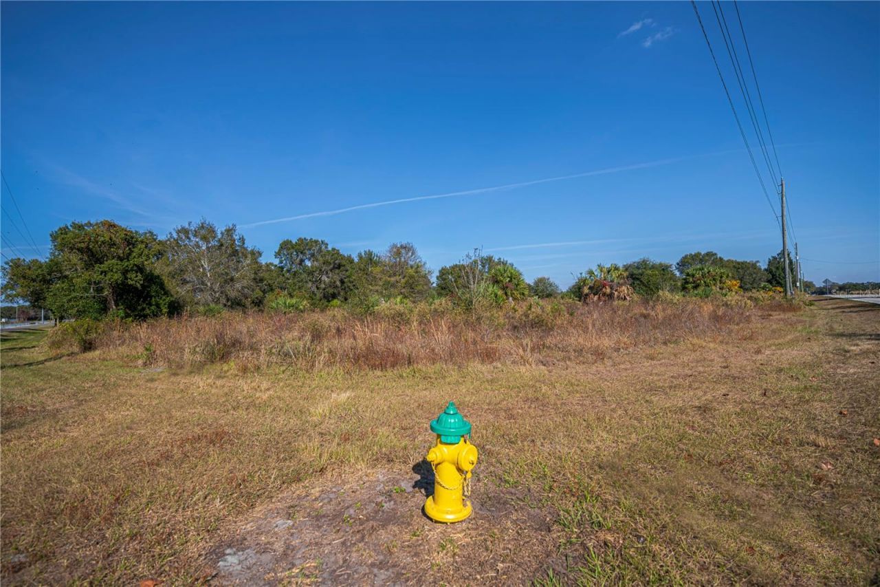 Sw Co Rd 760a , Arcadia, FL 34266 Photo