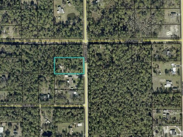 2724 LANCEWOOD STREET , BUNNELL, FL 32110