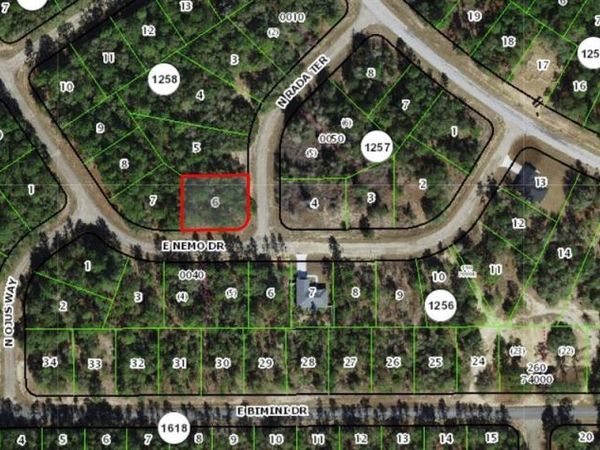9294 N RADA TERRACE , CITRUS SPRINGS, FL 34434