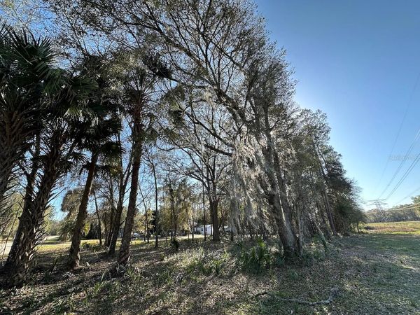 TBD NE 151 LANE , FORT MC COY, FL 32134