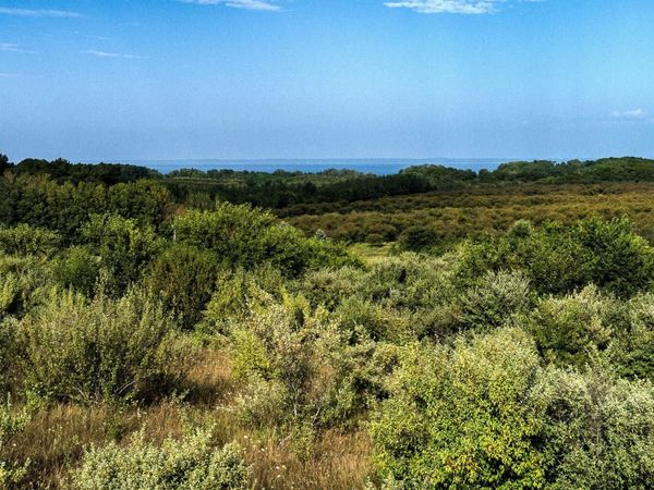 Overlook Road S, Northport, MI 49670