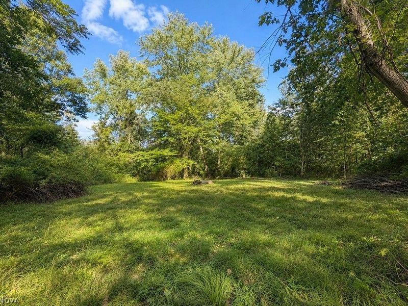 795 Meadowlark Road, Painesville Township, OH 44077 Photo 46