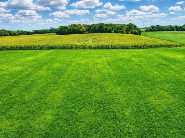 TBD Nicolai Avenue , Hastings, MN 55033