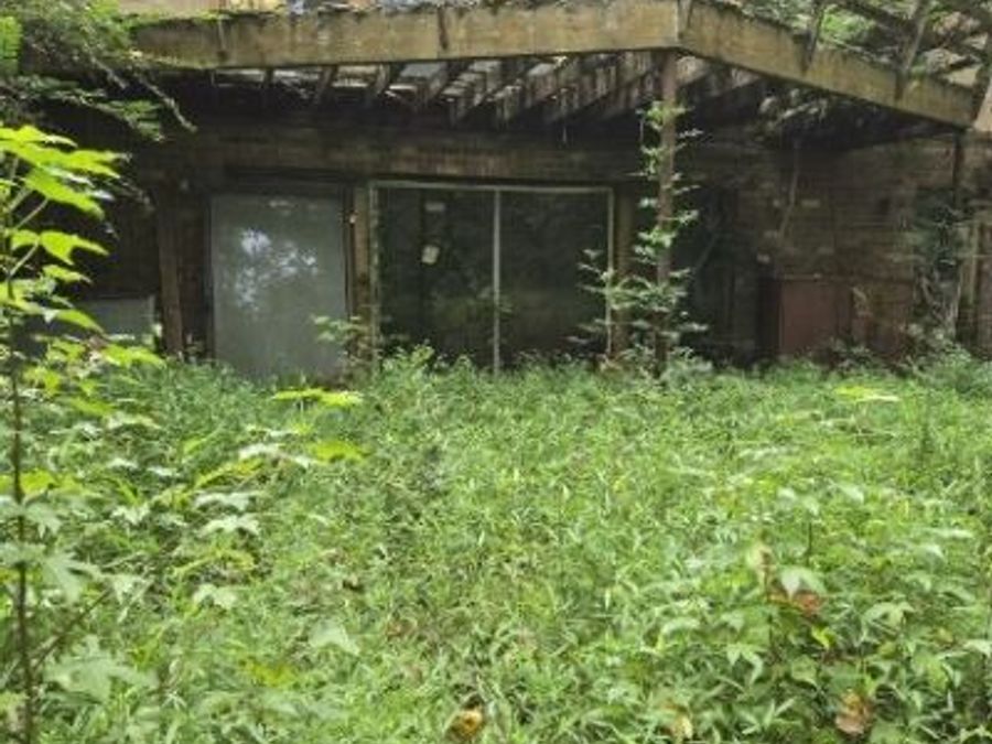 Property Image 19