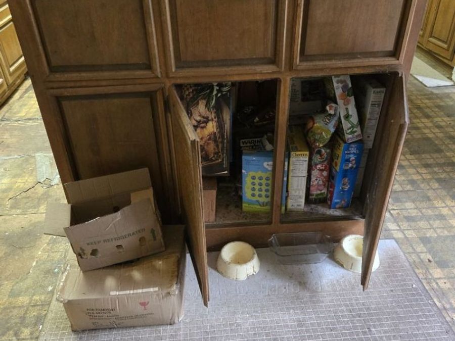 Property Image 87