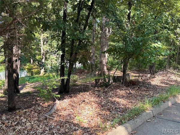 00 Sylvan Drive , Poplar Bluff, MO 63901