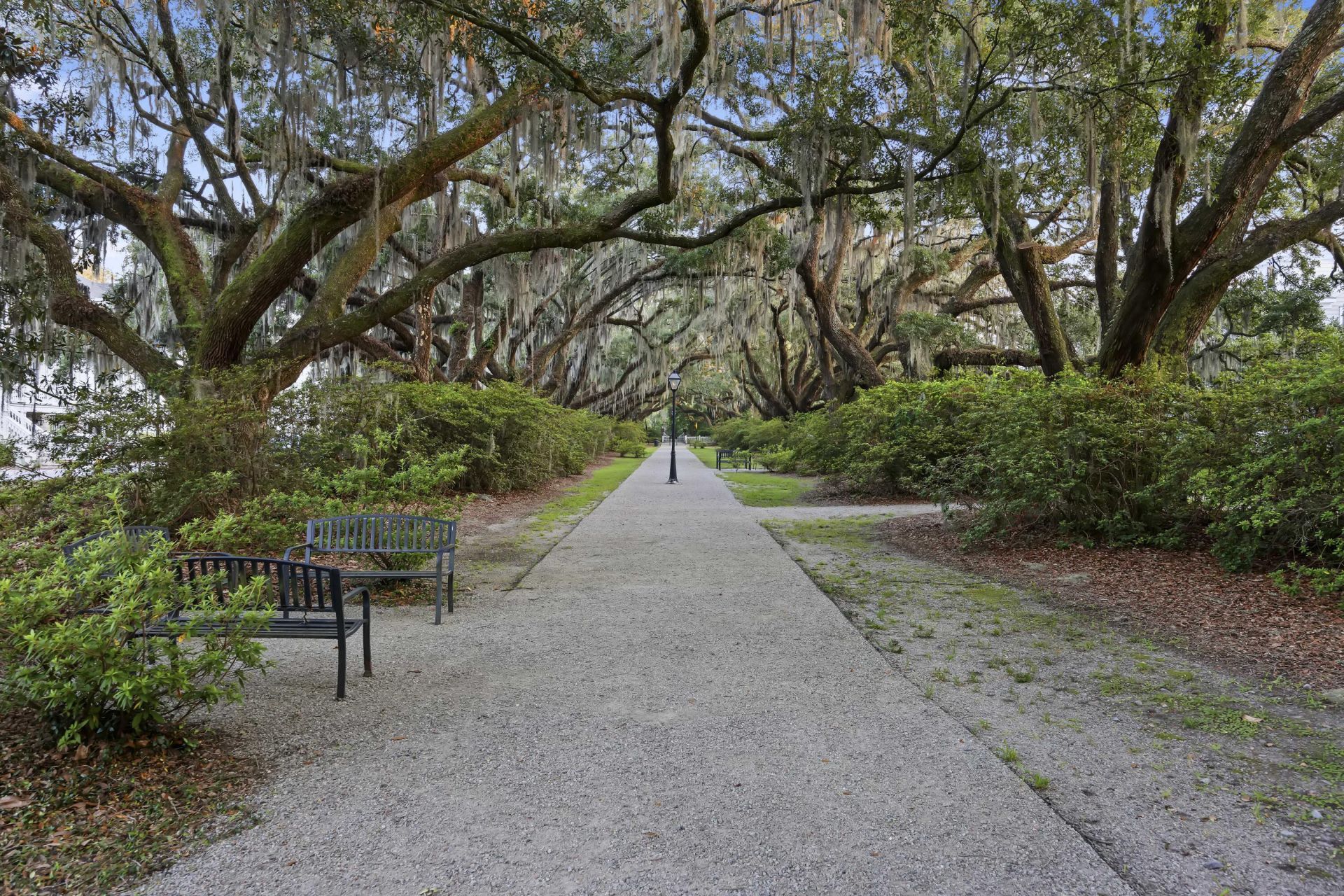 1056 Avenue Of Oaks Photo 8