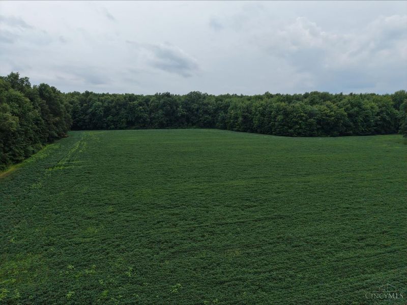 Lot 3 Tar Pike Road, Blanchester, OH 45107 Photo 5
