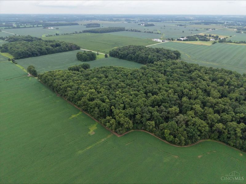 Lot 3 Tar Pike Road, Blanchester, OH 45107 Photo 9