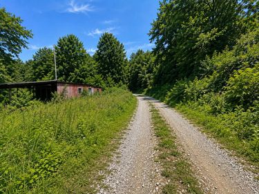 3066 Big Willard Road, Busy, KY 41723