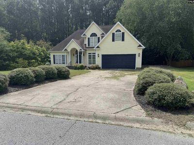 116 Rum Gully Lane, Chapin, SC 29036