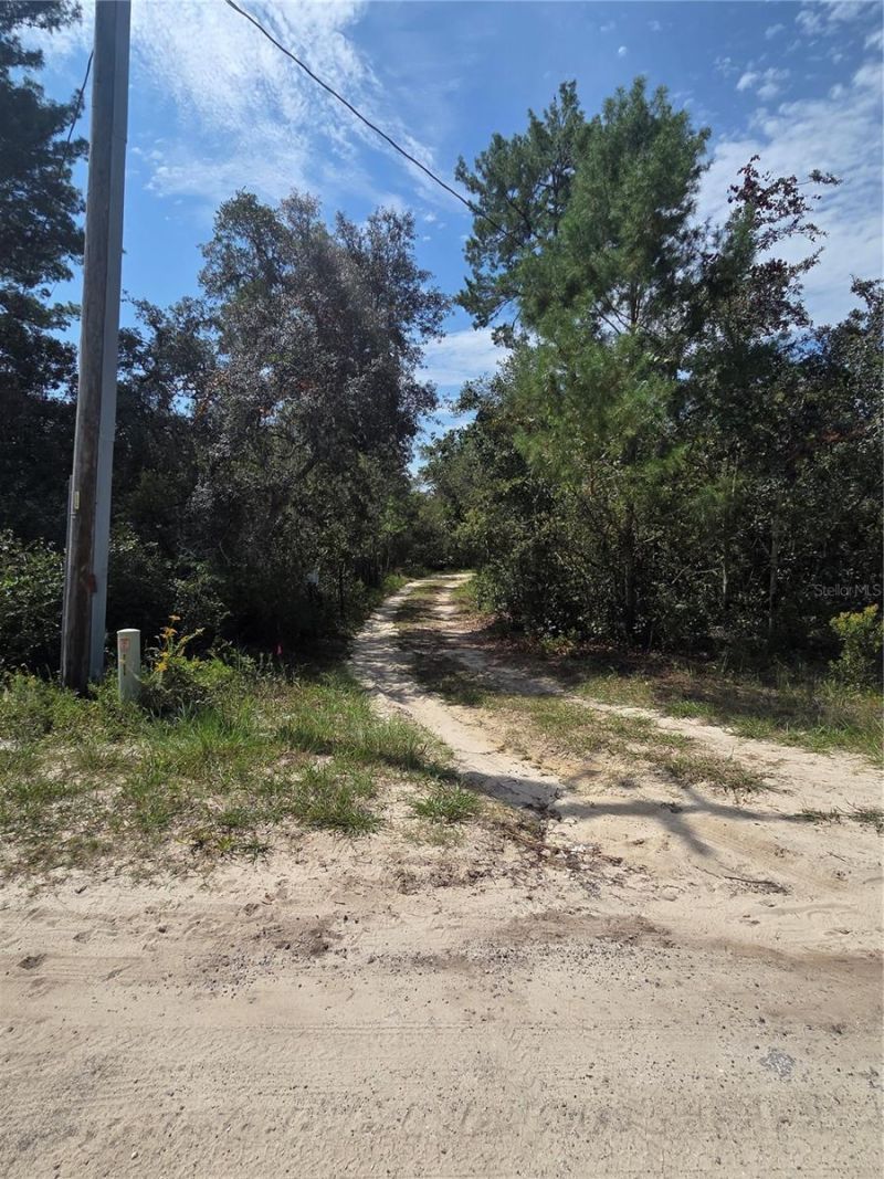 27016 Fishermans Road , Paisley, FL 32767 Photo