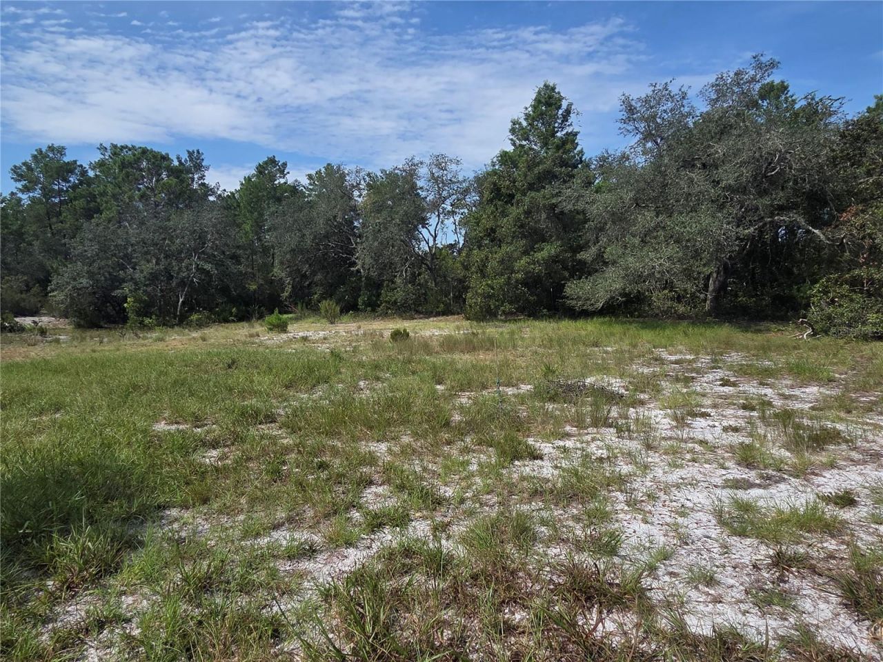 27016 Fishermans Road , Paisley, FL 32767 Photo