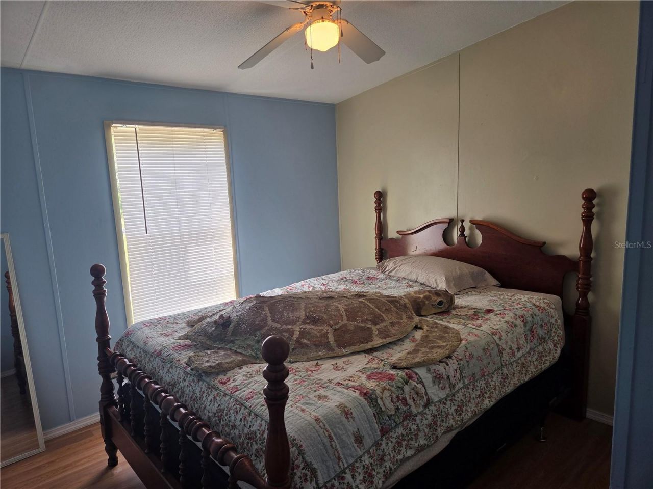 27016 Fishermans Road , Paisley, FL 32767 Photo