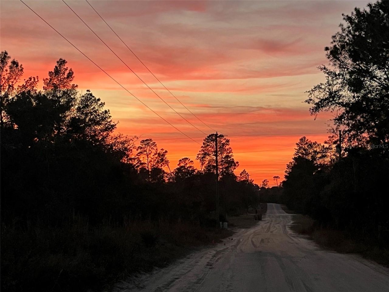 27016 Fishermans Road , Paisley, FL 32767 Photo