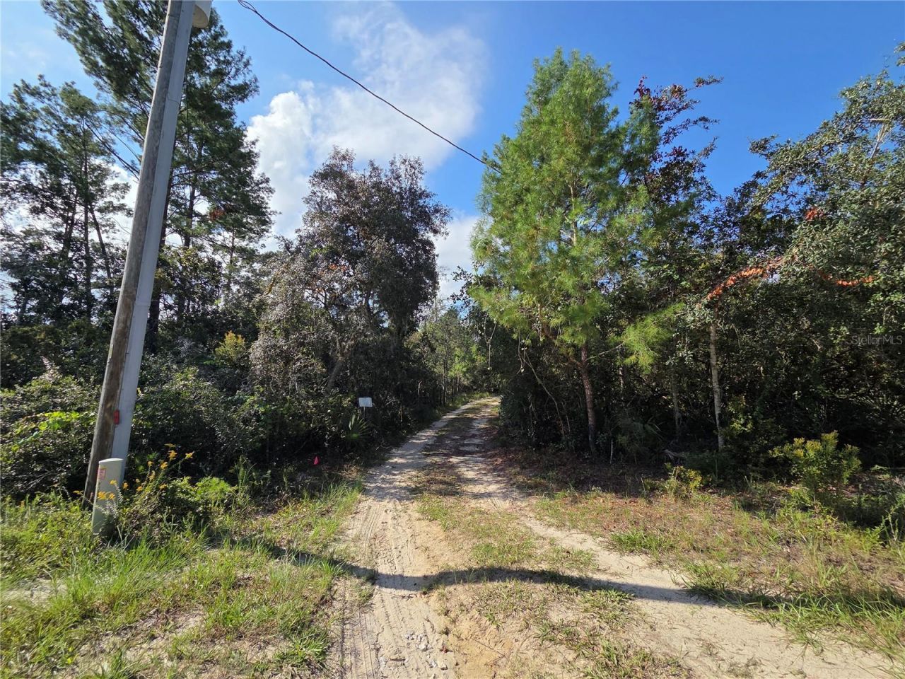 27016 Fishermans Road , Paisley, FL 32767 Photo
