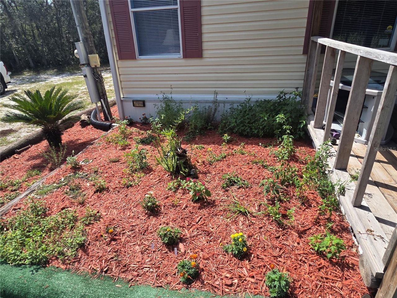 27016 Fishermans Road , Paisley, FL 32767 Photo