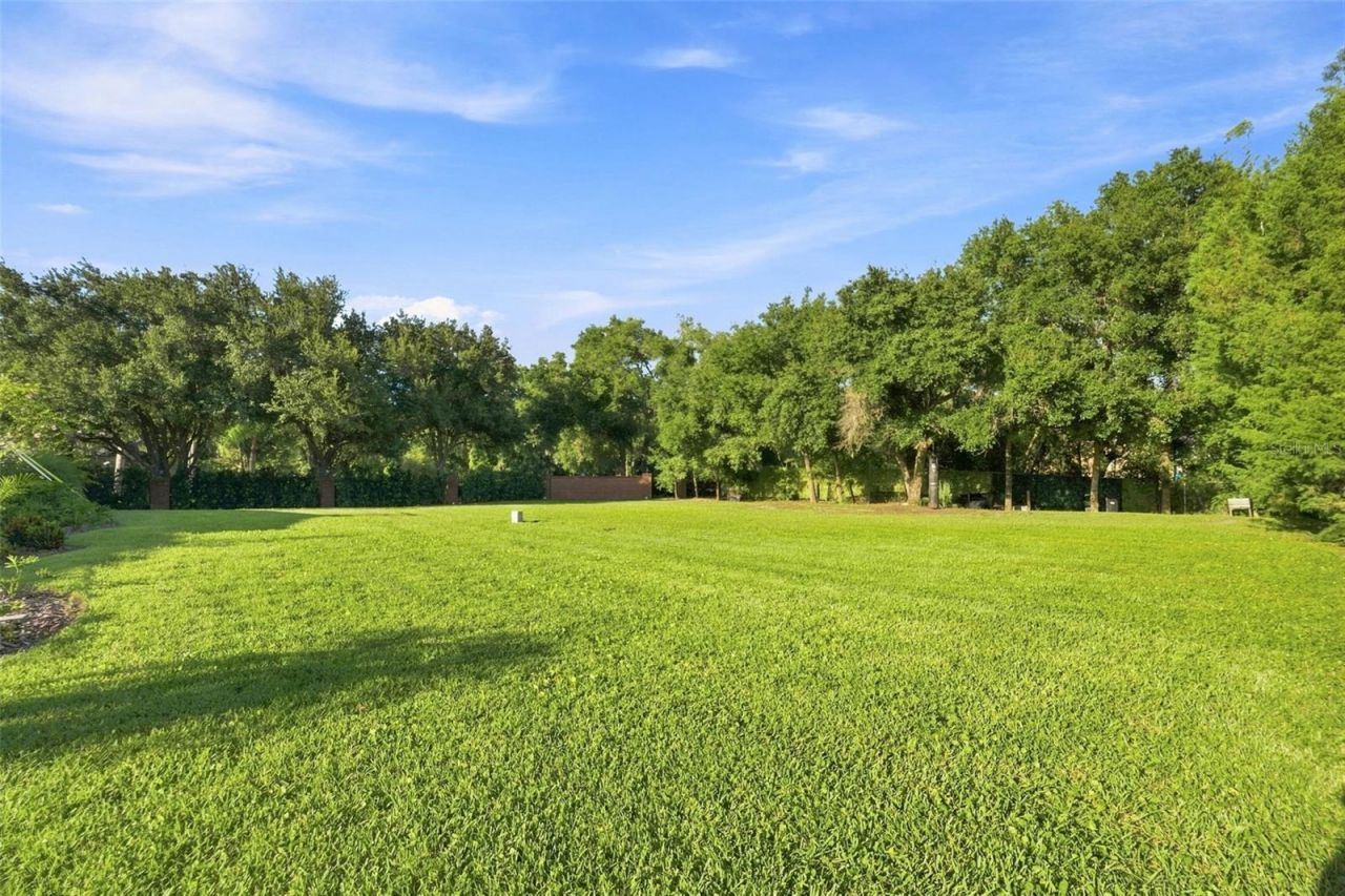 1422 Oak Meadow Point, New Port Richey, FL 34655 Photo