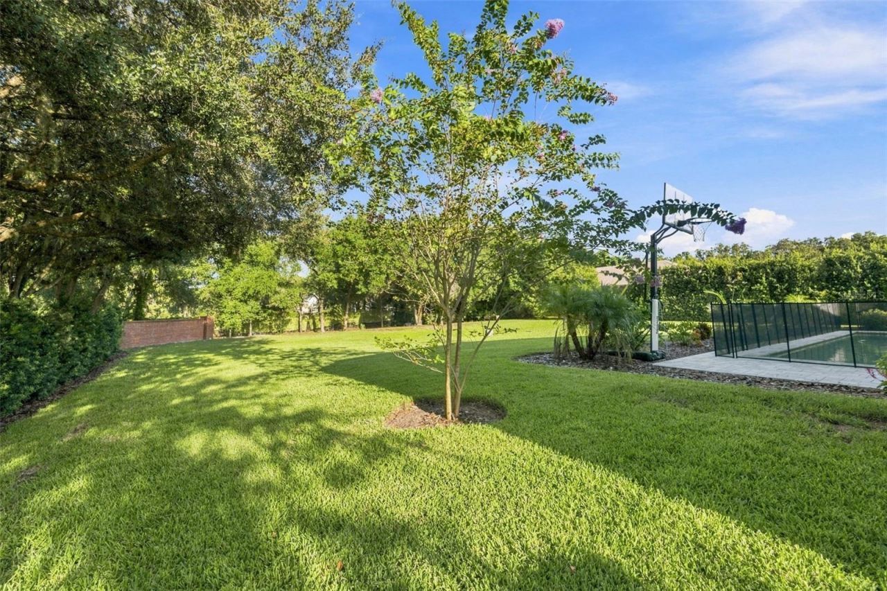 1422 Oak Meadow Point, New Port Richey, FL 34655 Photo