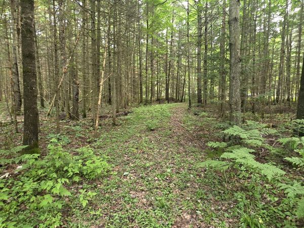 Lot 18 Lakeshore DR, Sault Ste Marie, MI 49783