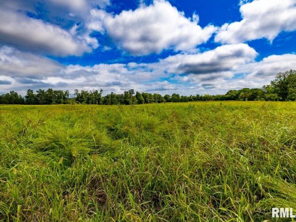 000 Hawkins Road, Vienna, IL 62995