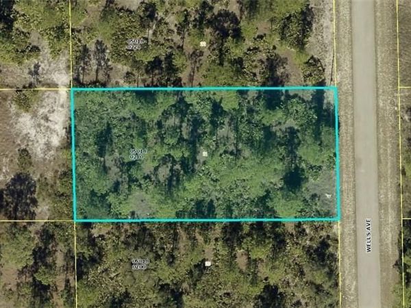 517 Wells AVE , LEHIGH ACRES, FL 33972