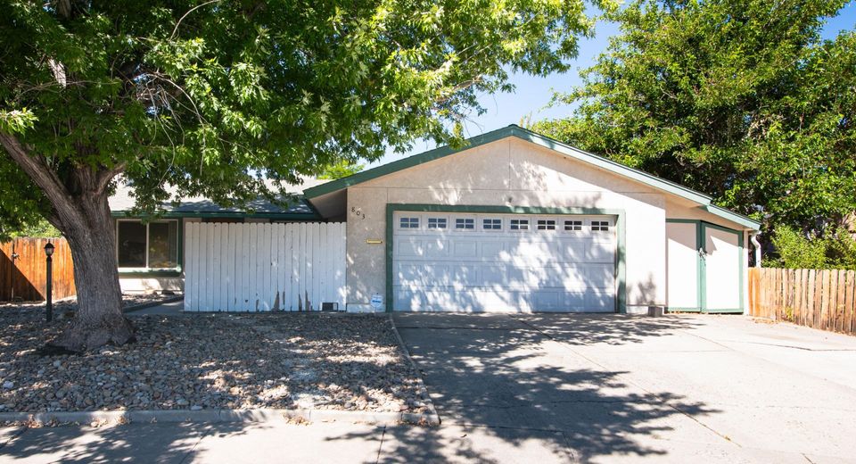 803 Rolando Way, Carson City, NV 89701 Photo