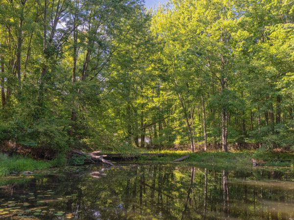6985 124th Avenue, Unit Parcel C, Fennville, MI 49408