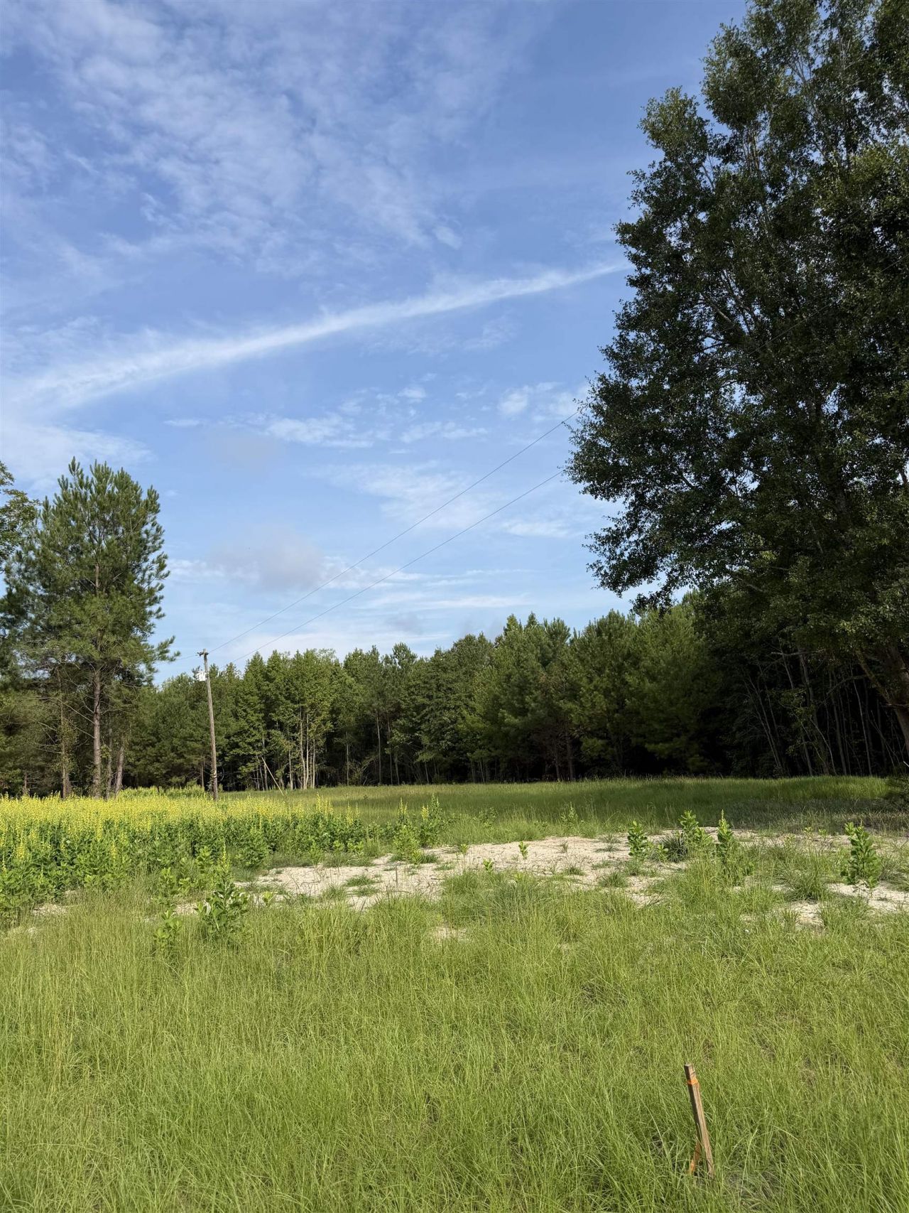 Tbd Hayfield Rd.  Photo 11