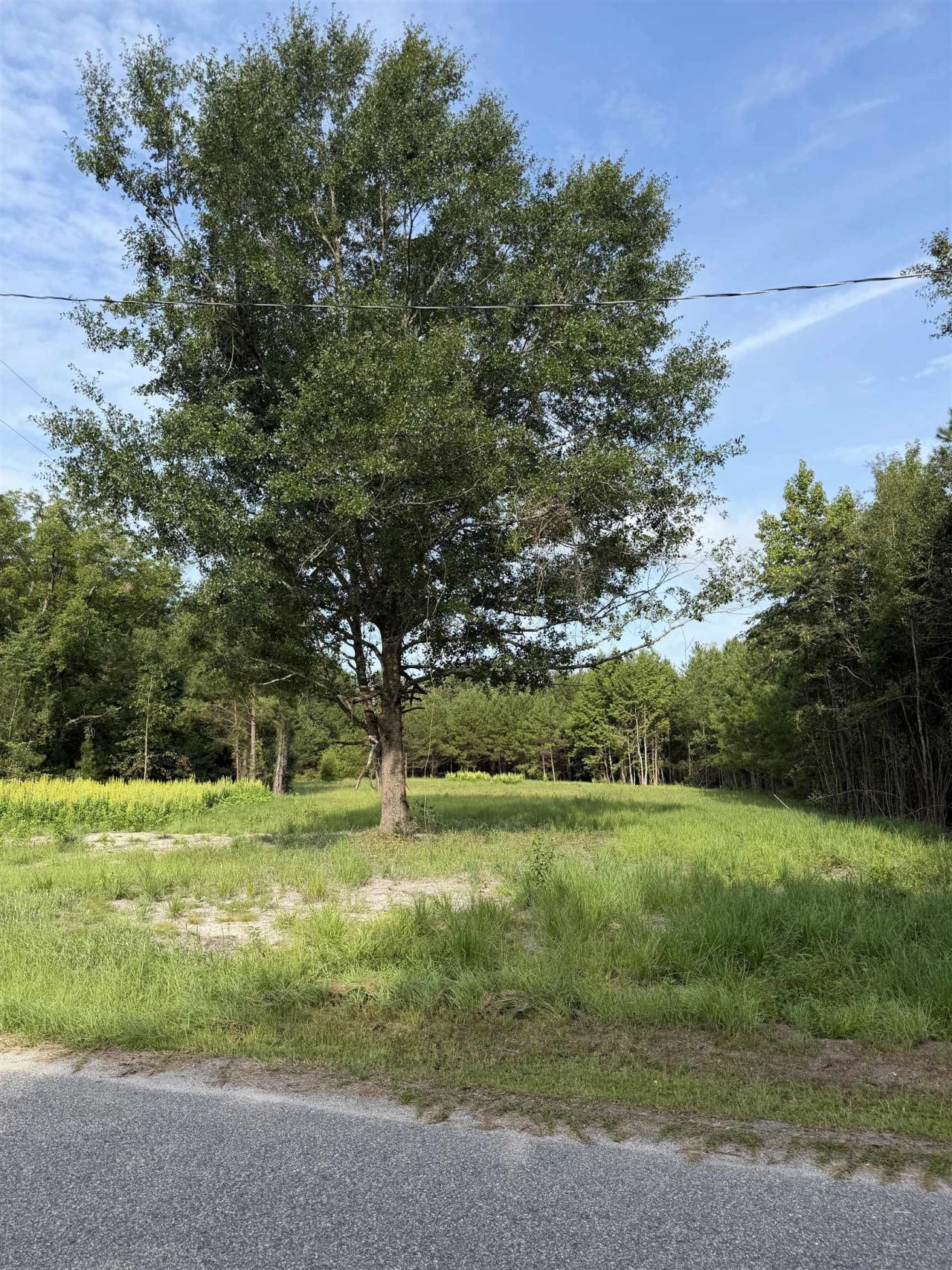 Tbd Hayfield Rd.  Photo 7